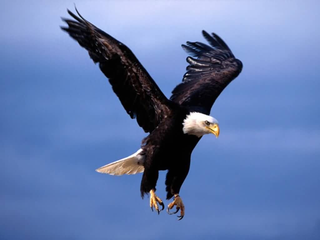 2 Image